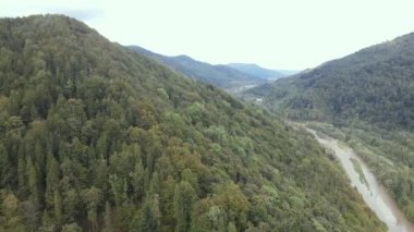 Sonbaharda Karpat Dağları 'nın havadan görünüşü. Ukrayna