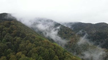 Dağlar sisli ağır çekimde. Sonbaharda Karpat Dağları 'nın havadan görünüşü. Ukrayna
