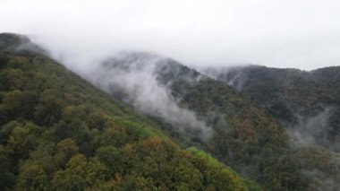 Dağlar sisli ağır çekimde. Sonbaharda Karpat Dağları 'nın havadan görünüşü. Ukrayna