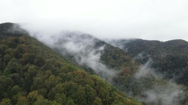 Hory zpomalené v mlze. Letecký pohled na Karpatské hory na podzim. Ukrajina — Stock video
