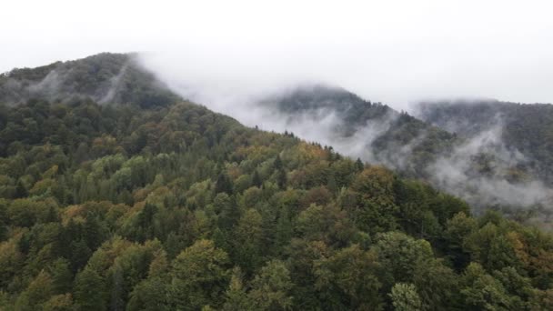Berg i dimma slow motion. Flygfoto över Karpaterna på hösten. Ukraina — Stockvideo