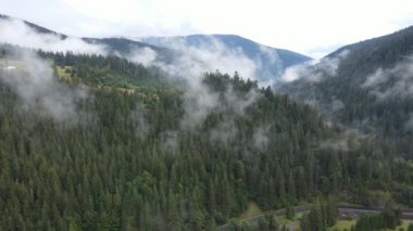 Dağlar sisli ağır çekimde. Sonbaharda Karpat Dağları 'nın havadan görünüşü. Ukrayna