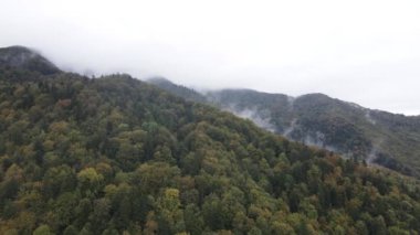 Dağlar sisli ağır çekimde. Sonbaharda Karpat Dağları 'nın havadan görünüşü. Ukrayna