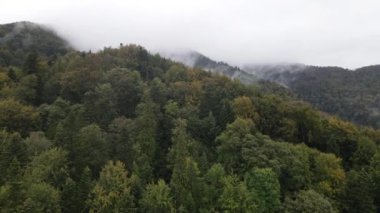 Dağlar sisli ağır çekimde. Sonbaharda Karpat Dağları 'nın havadan görünüşü. Ukrayna