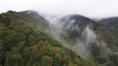 Dağlar sisli ağır çekimde. Sonbaharda Karpat Dağları 'nın havadan görünüşü. Ukrayna