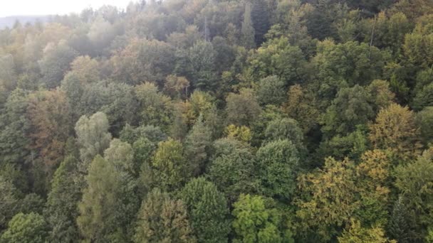 Árboles en las montañas en cámara lenta. Vista aérea de las montañas Cárpatos en otoño. Ucrania — Vídeos de Stock