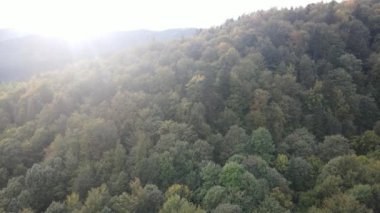 Dağlardaki ağaçlar yavaş çekimde. Sonbaharda Karpat Dağları 'nın havadan görünüşü. Ukrayna