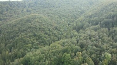 Dağlardaki ağaçlar yavaş çekimde. Sonbaharda Karpat Dağları 'nın havadan görünüşü. Ukrayna