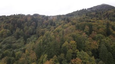 Ukrayna 'nın doğası: Karpatlar ağır çekim yapar. Hava görünümü