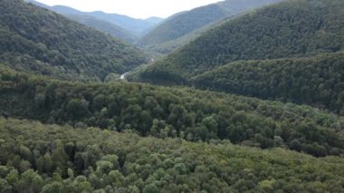 Ukrayna 'nın doğası: Karpatlar ağır çekim yapar. Hava görünümü