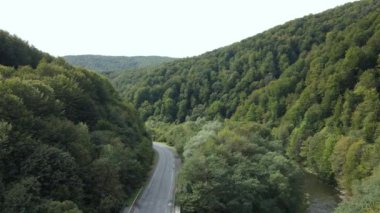 Ukrayna 'nın doğası: Karpatlar ağır çekim yapar. Hava görünümü
