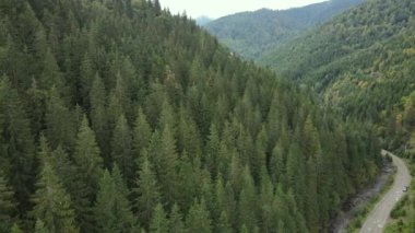 Ukrayna 'nın doğası: Karpatlar ağır çekim yapar. Hava görünümü