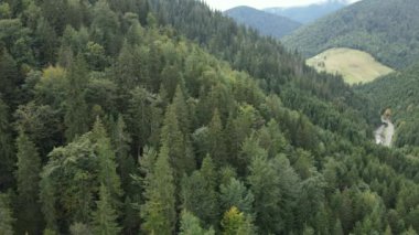 Ukrayna 'nın doğası: Karpatlar ağır çekim yapar. Hava görünümü