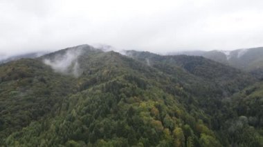 Ukrayna 'nın doğası: Karpatlar ağır çekim yapar. Hava görünümü