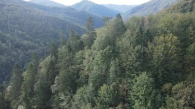 Ukrayna 'nın doğası: Karpatlar ağır çekim yapar. Hava görünümü