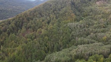 Ukrayna 'nın doğası: Karpatlar ağır çekim yapar. Hava görünümü