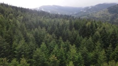 Ukrayna 'nın doğası: Karpatlar ağır çekim yapar. Hava görünümü