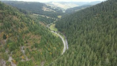 Ukrayna 'nın doğası: Karpatlar ağır çekim yapar. Hava görünümü