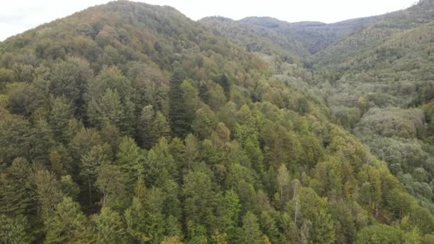 Nature of Ukraine: Carpathian Mountains slow motion (em inglês). Vista aérea — Vídeo de Stock