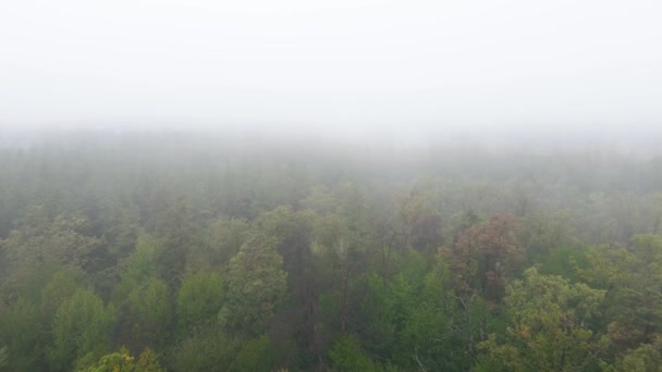 Bos in mist bij regenachtig herfstweer. Oekraïne. Luchtfoto, slow motion — Stockvideo