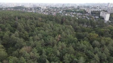 Metropolis ve orman sınırının havadan görüntüsü. Kyiv, Ukrayna