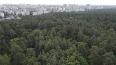 Metropolis ve orman sınırının havadan görüntüsü. Kyiv, Ukrayna