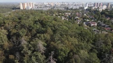 Metropolis ve orman sınırının havadan görüntüsü. Kyiv, Ukrayna