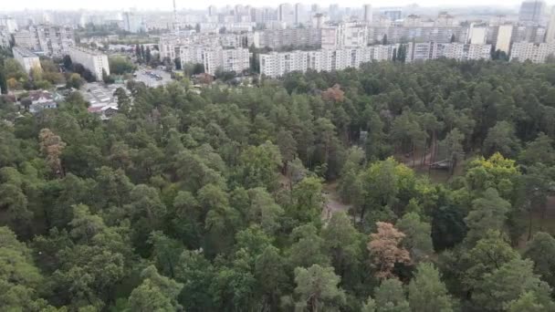 Aerial view of the border of the metropolis and the forest. Kyiv, Ukraine — Stock Video