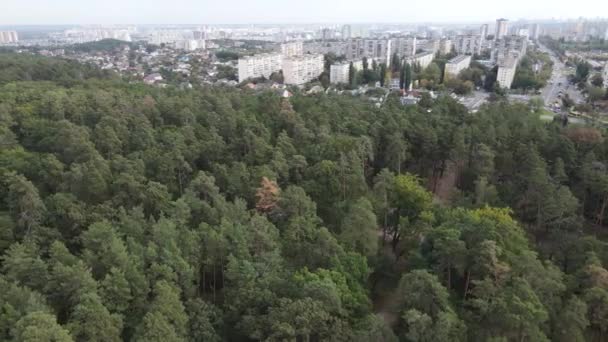 Vista aérea de la frontera de la metrópolis y el bosque. Kiev, Ucrania — Vídeos de Stock