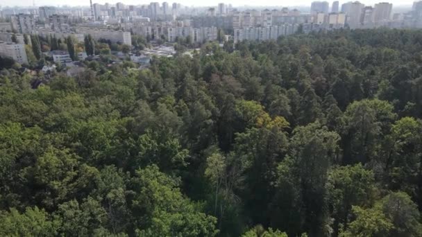 Uitzicht vanuit de lucht op de grens van de metropool en het bos. Kiev, Oekraïne — Stockvideo