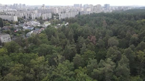 Aerial view of the border of the metropolis and the forest. Kyiv, Ukraine — Stock Video