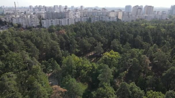Aerial view of the border of the metropolis and the forest. Kyiv, Ukraine — Stock Video