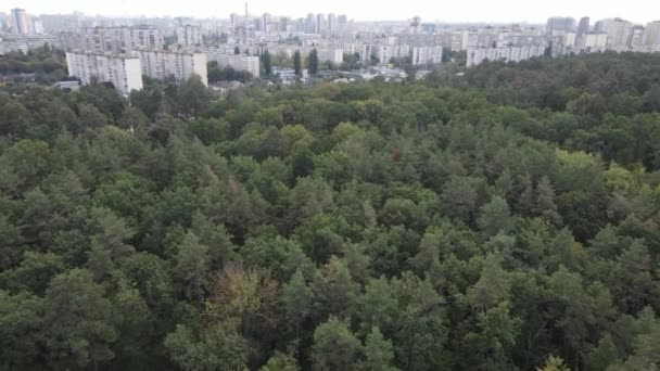 Vue aérienne de la frontière de la métropole et de la forêt. Kiev, Ukraine — Video