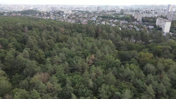Вид с воздуха на границу мегаполиса и леса. Киев, Украина — стоковое видео