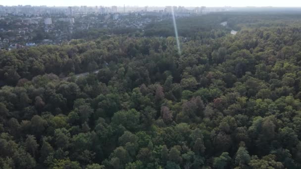 Vista aerea del confine tra la metropoli e la foresta. Kiev, Ucraina — Video Stock