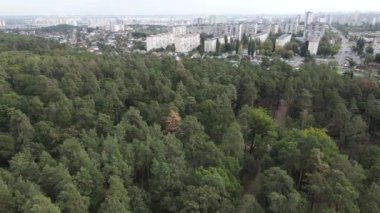 Ormanın yanındaki Megalopolis: Büyük şehirle doğa arasındaki bağlantı. Hava görüntüsü. Yavaş çekim