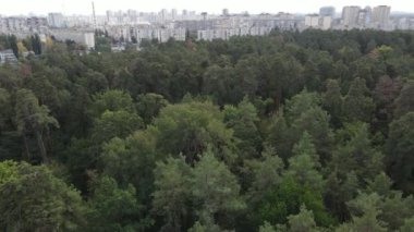 Ormanın yanındaki Megalopolis: Büyük şehirle doğa arasındaki bağlantı. Hava görüntüsü. Yavaş çekim