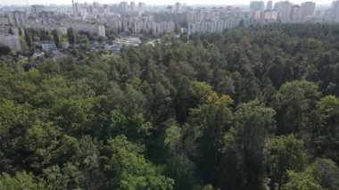 Ormanın yanındaki Megalopolis: Büyük şehirle doğa arasındaki bağlantı. Hava görüntüsü. Yavaş çekim