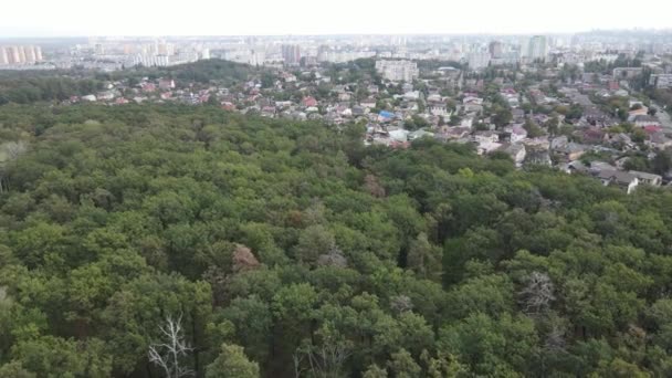 Megalopolis рядом с лесом: контакт между большим городом и природой. Вид с воздуха. Медленное движение — стоковое видео