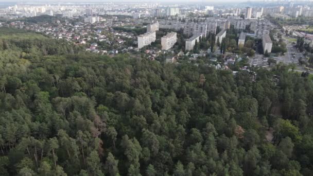 Megalopolis lângă pădure: contactul dintre marele oraș și natură. Vedere aeriană. Slow motion — Videoclip de stoc