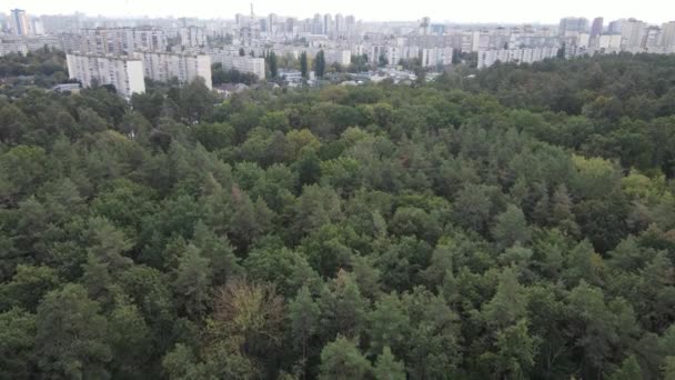 Megalópolis junto al bosque: el contacto entre la gran ciudad y la naturaleza. Vista aérea. Movimiento lento — Vídeos de Stock