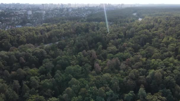 Megalopolis ao lado da floresta: o contato entre a cidade grande e a natureza. Vista aérea. Movimento lento — Vídeo de Stock