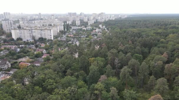 Megalopolis am Waldrand: der Kontakt zwischen Großstadt und Natur. Luftaufnahme. Zeitlupe — Stockvideo