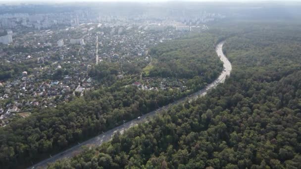 Megalopoli vicino alla foresta: il contatto tra la grande città e la natura. Vista aerea. Rallentatore — Video Stock