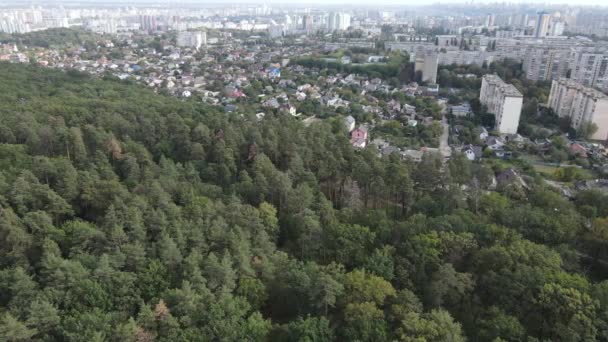 Megalópolis junto al bosque: el contacto entre la gran ciudad y la naturaleza. Vista aérea. Movimiento lento — Vídeos de Stock