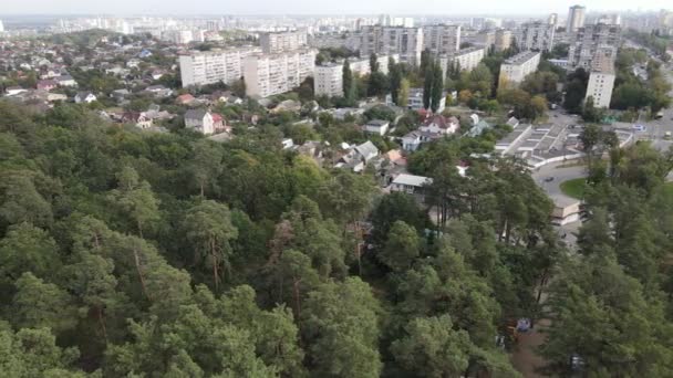 Megalopolis ao lado da floresta: o contato entre a cidade grande e a natureza. Vista aérea. Movimento lento — Vídeo de Stock