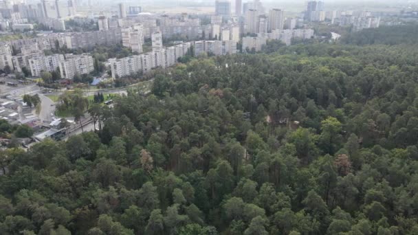 Megalopoli vicino alla foresta: il contatto tra la grande città e la natura. Vista aerea. Rallentatore — Video Stock