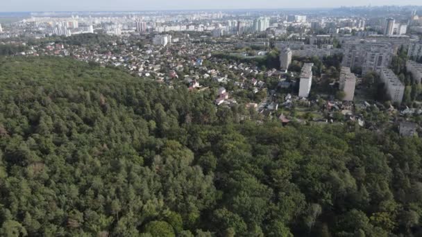 Megalopolis ao lado da floresta: o contato entre a cidade grande e a natureza. Vista aérea. Movimento lento — Vídeo de Stock