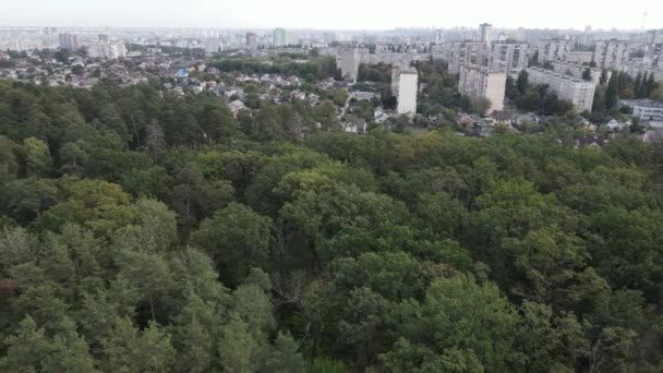 Megalopolis lângă pădure: contactul dintre marele oraș și natură. Vedere aeriană. Slow motion — Videoclip de stoc