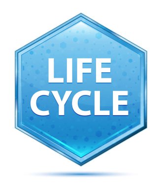 Yaşam döngüsü kristal mavi altıgen düğmesi